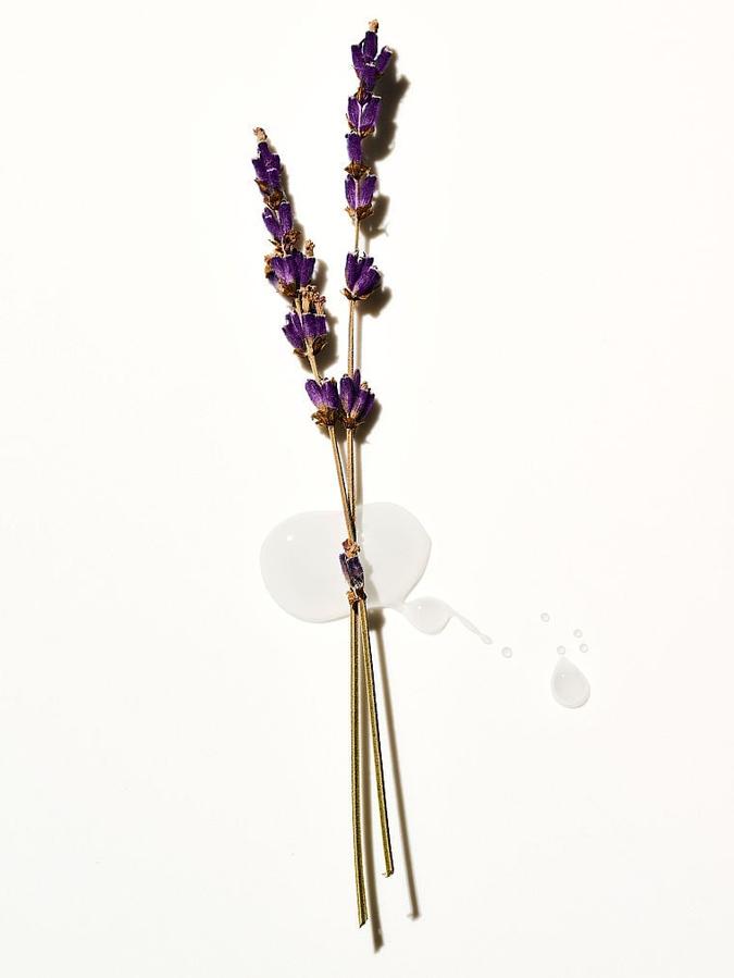 Lavender Body Lotion