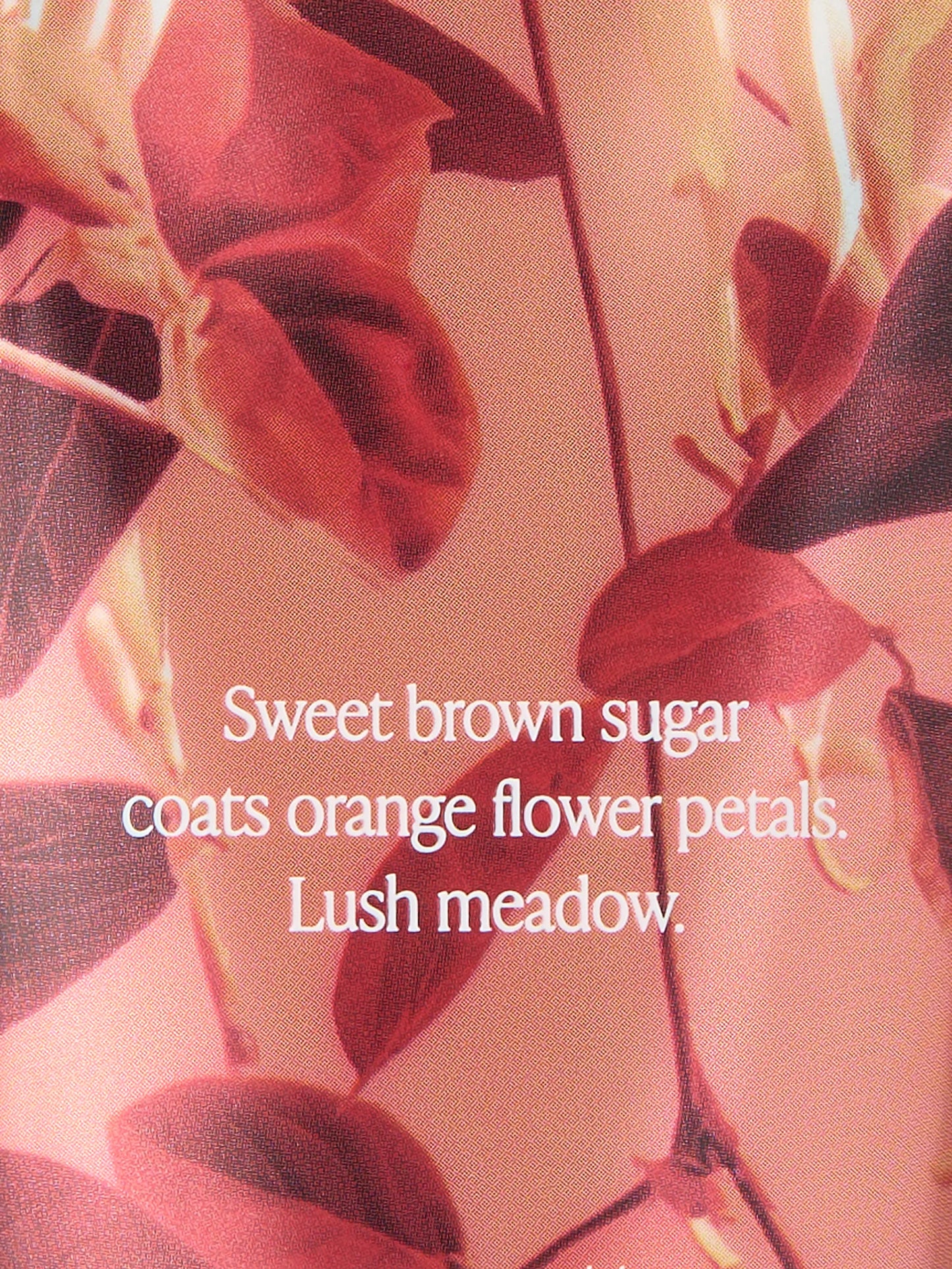 Fall Flora Lotions