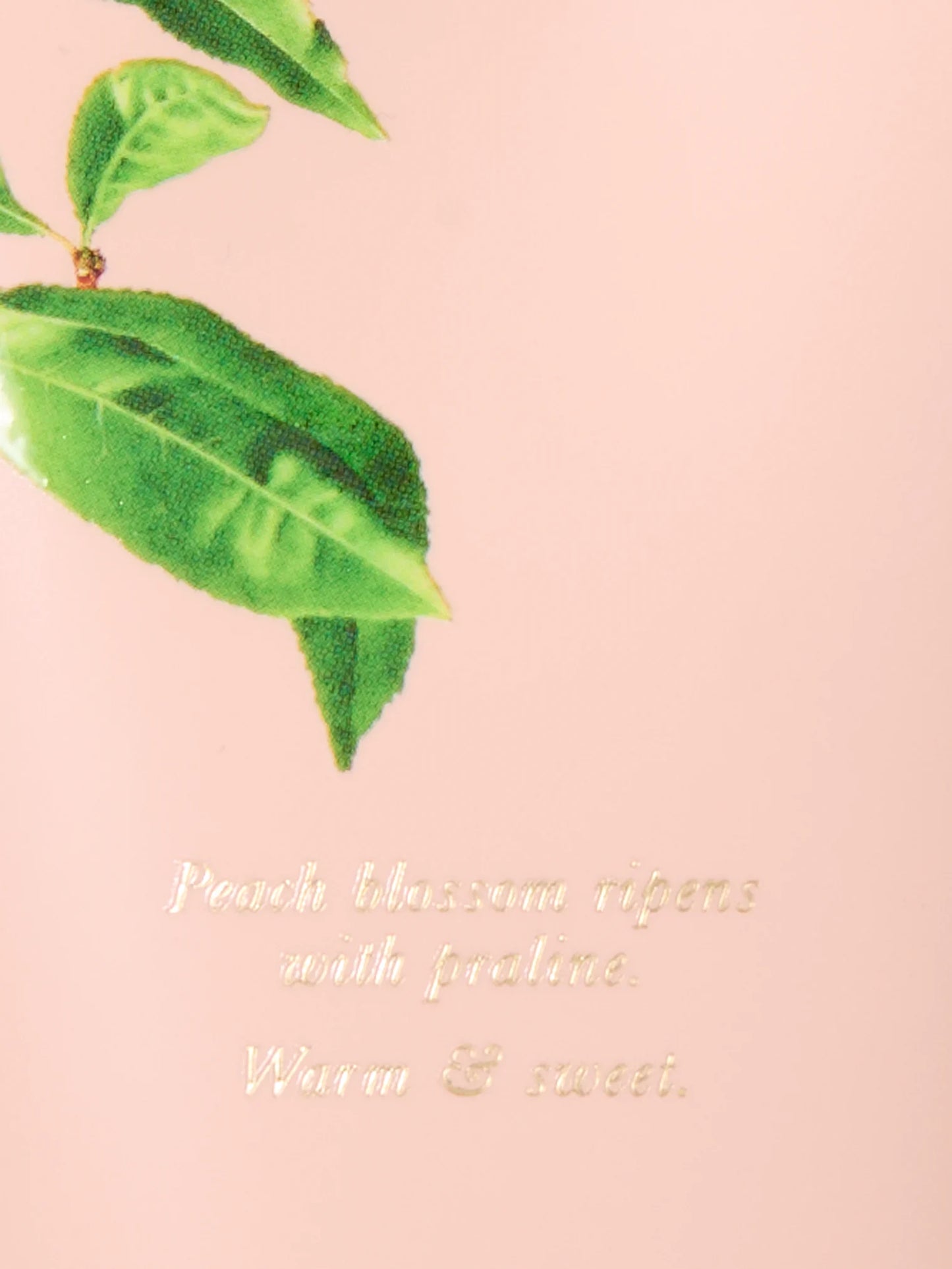Secret Garden Body Lotions