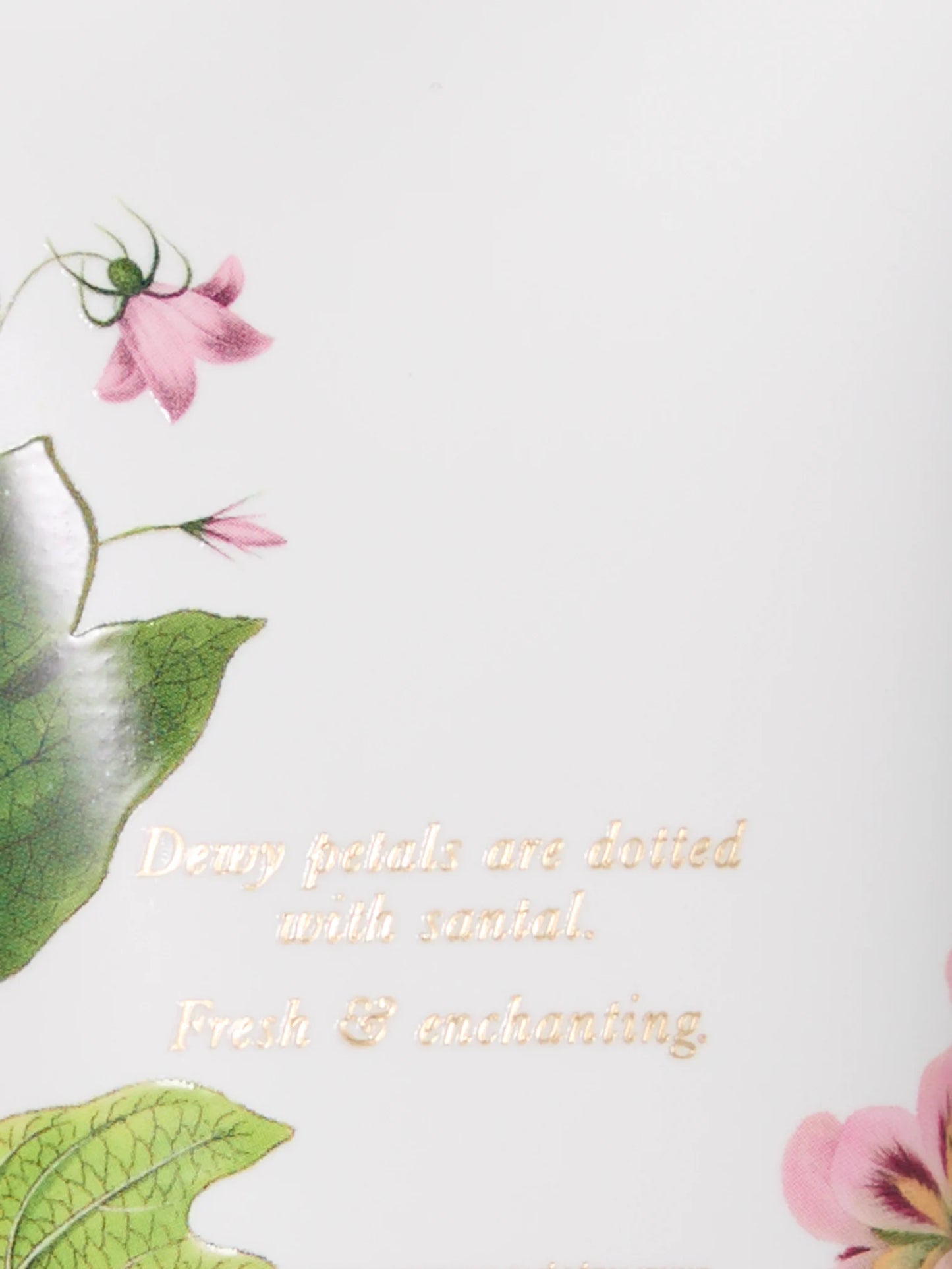 Secret Garden Body Lotions