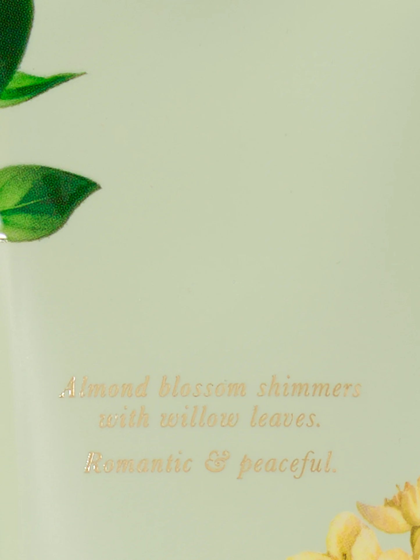 Secret Garden Body Lotions