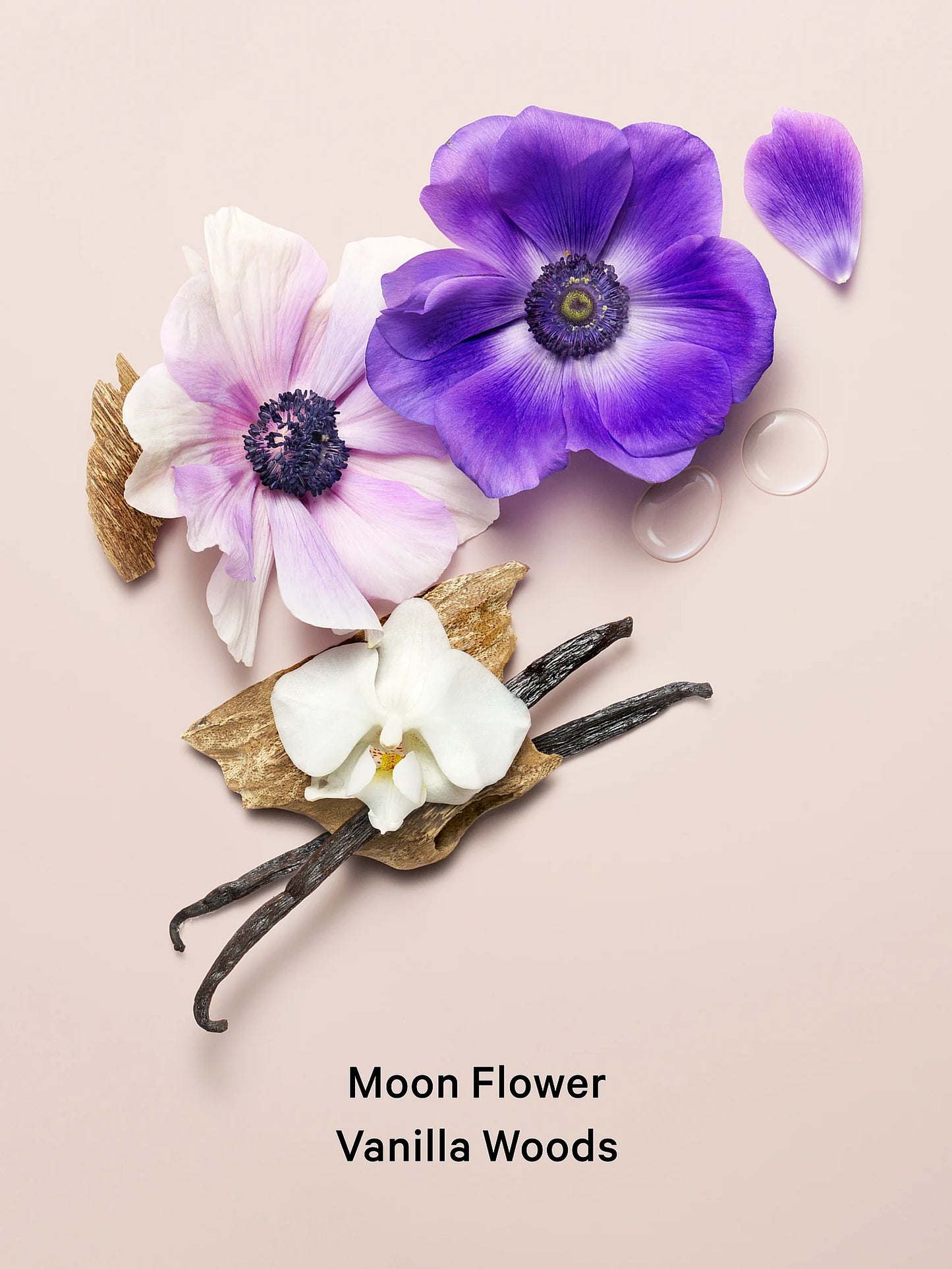 *Midnight Bloom Shimmer Mist