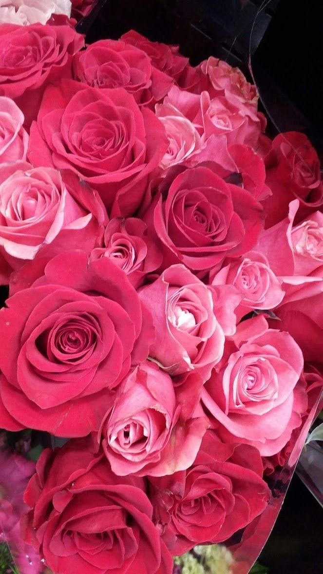 Rose Water & Ivy Hand Sanitizer