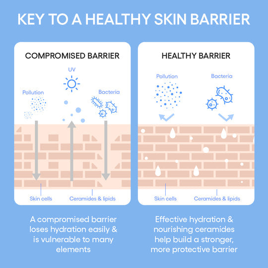 Cream Skin Cerapeptide™ Toner & Moisturizer