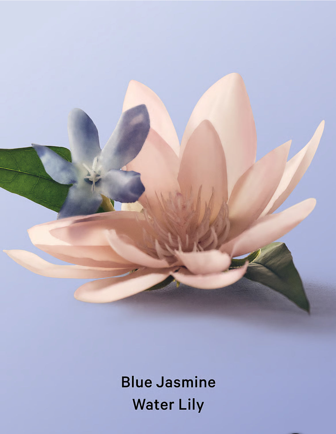Blue Jasmine Water Lily Hair & Body Mist