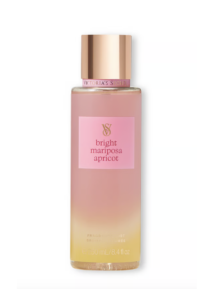 Bright Mariposa Apricot Mist