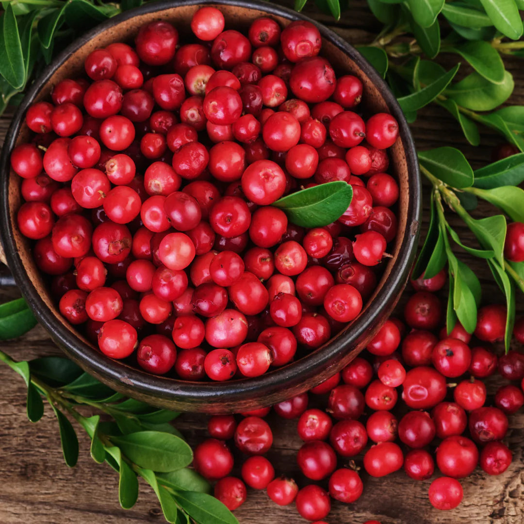 Cranberry Body Oil