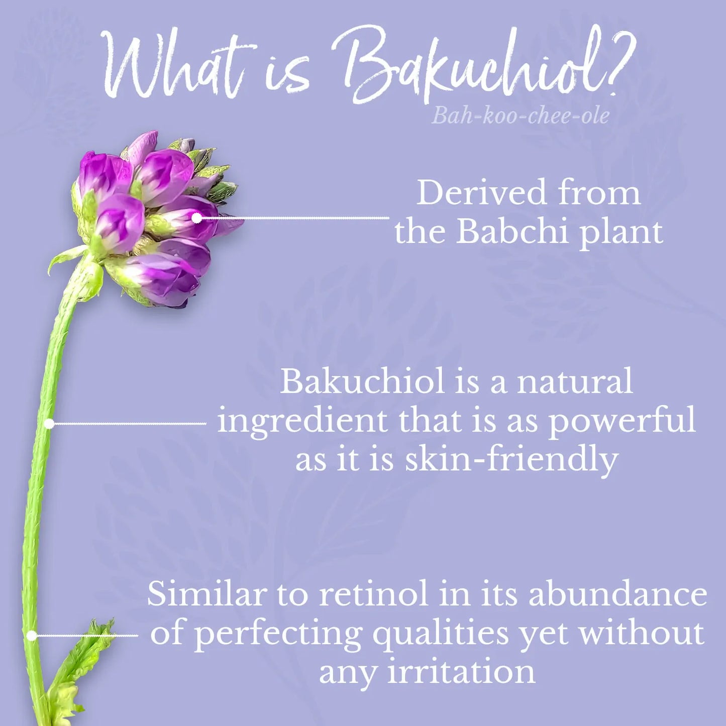 Bakuchiol Serum