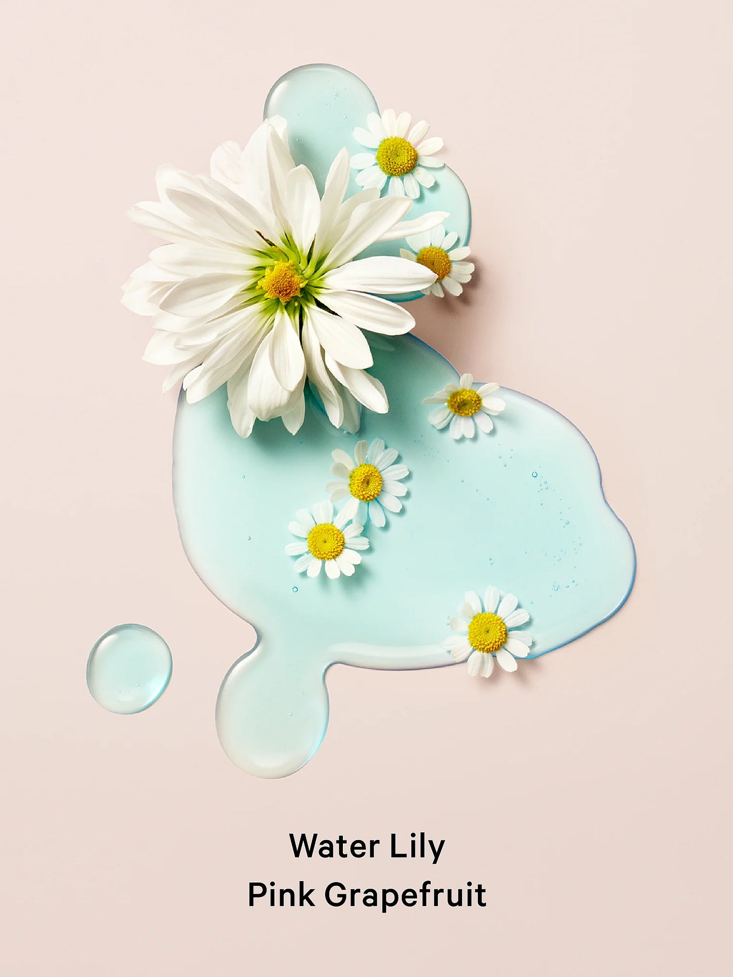 aqua kiss notes