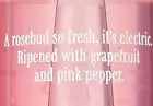 Petal Buzz Mist