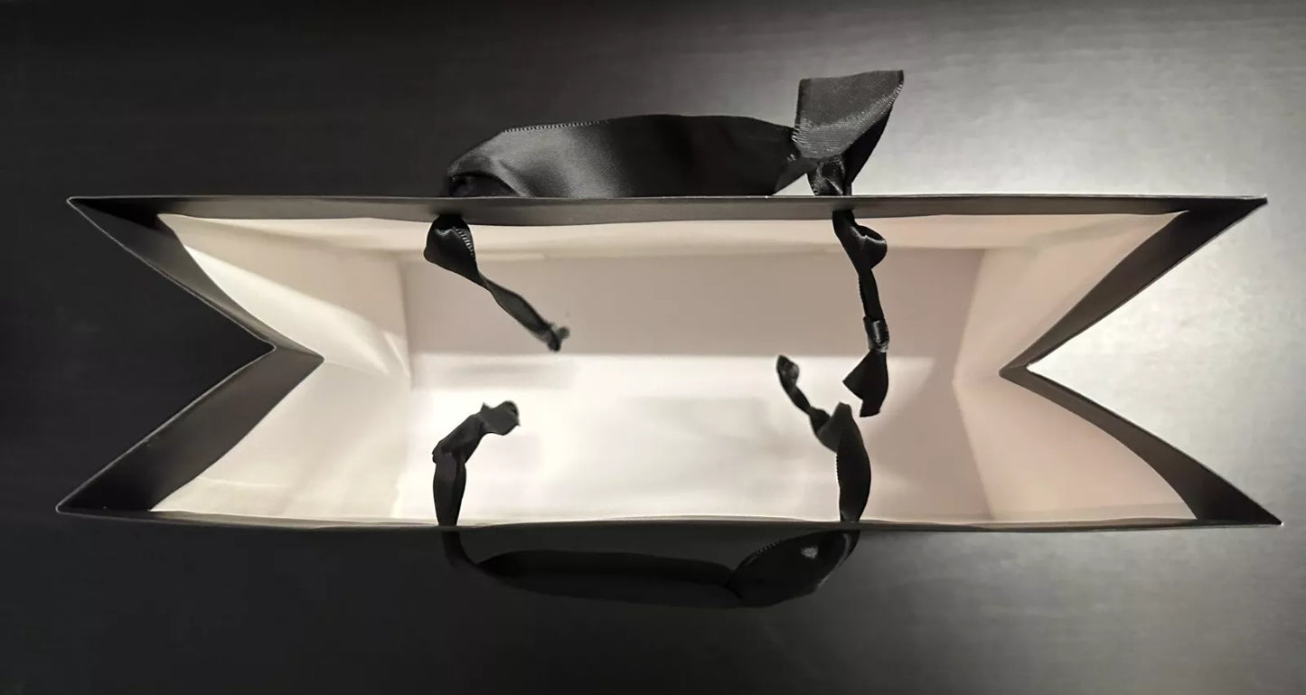 VS Paper Gift Bag new