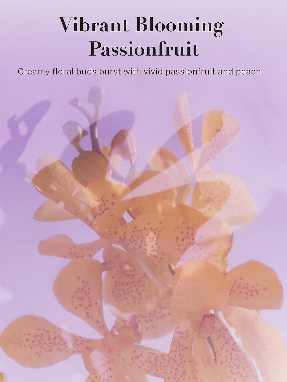 Vibrant Blooming Passionfruit Mist
