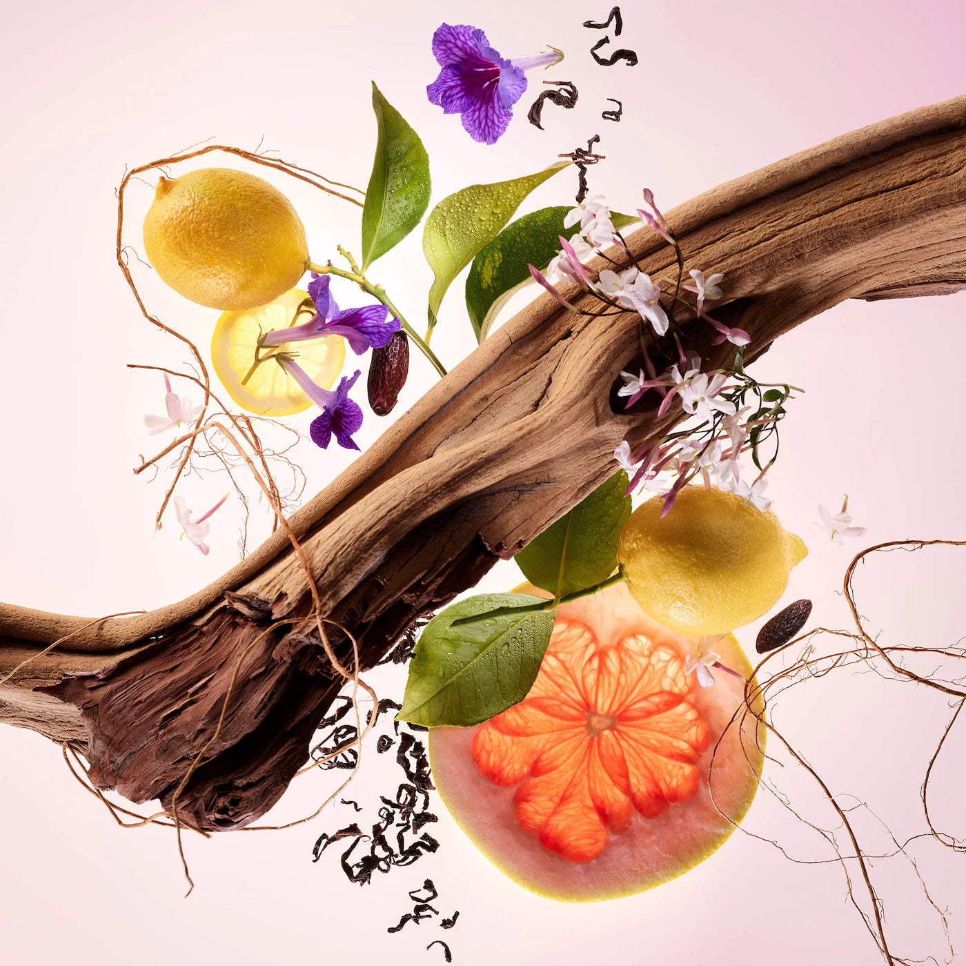 Find Comfort Niacinamide Hydrating Body Lotion