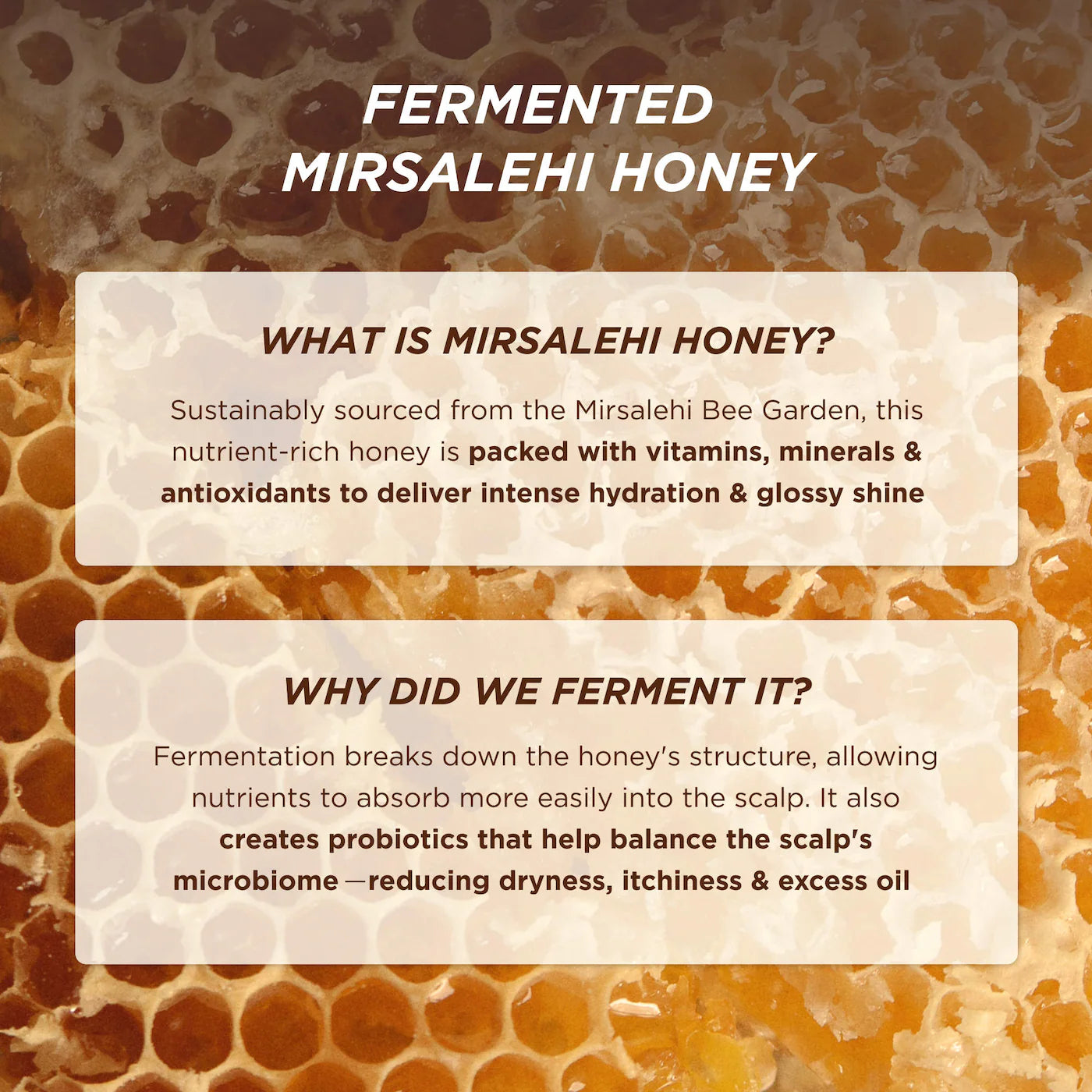 Honey Gloss Ceramide Therapy Hydrating Shampoo