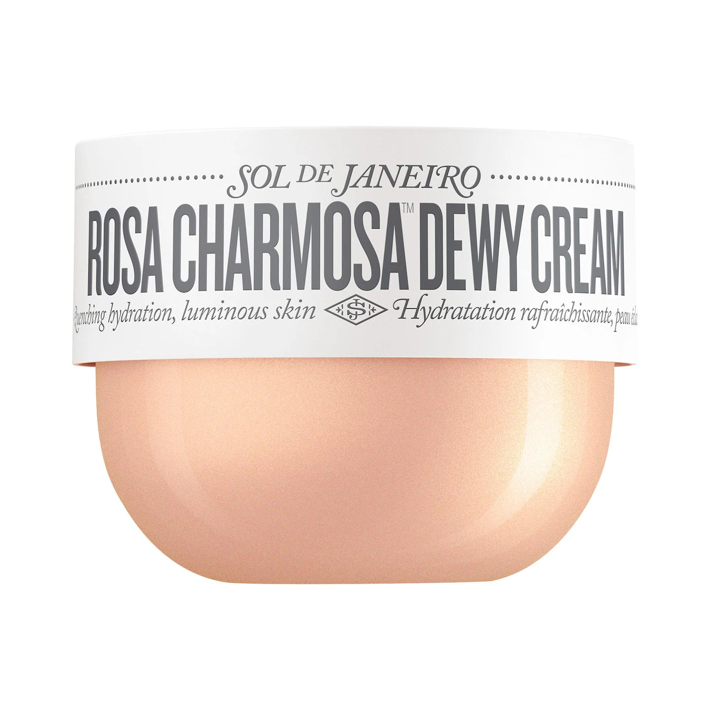 Rosa Charmosa™ Dewy Cream